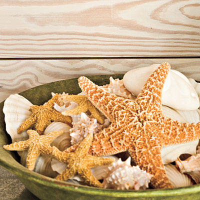 FOCAL POINT STYLING: DECORATING WITH STARFISH