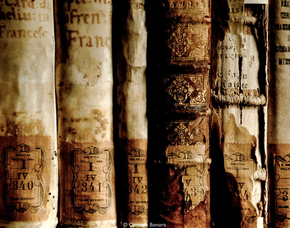 Io La Letteratura E Chaplin Come Conservare I Libri