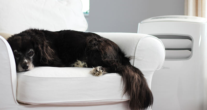 The Artsy Voyager Germany 10 Artsy Cool Reasons To Visit