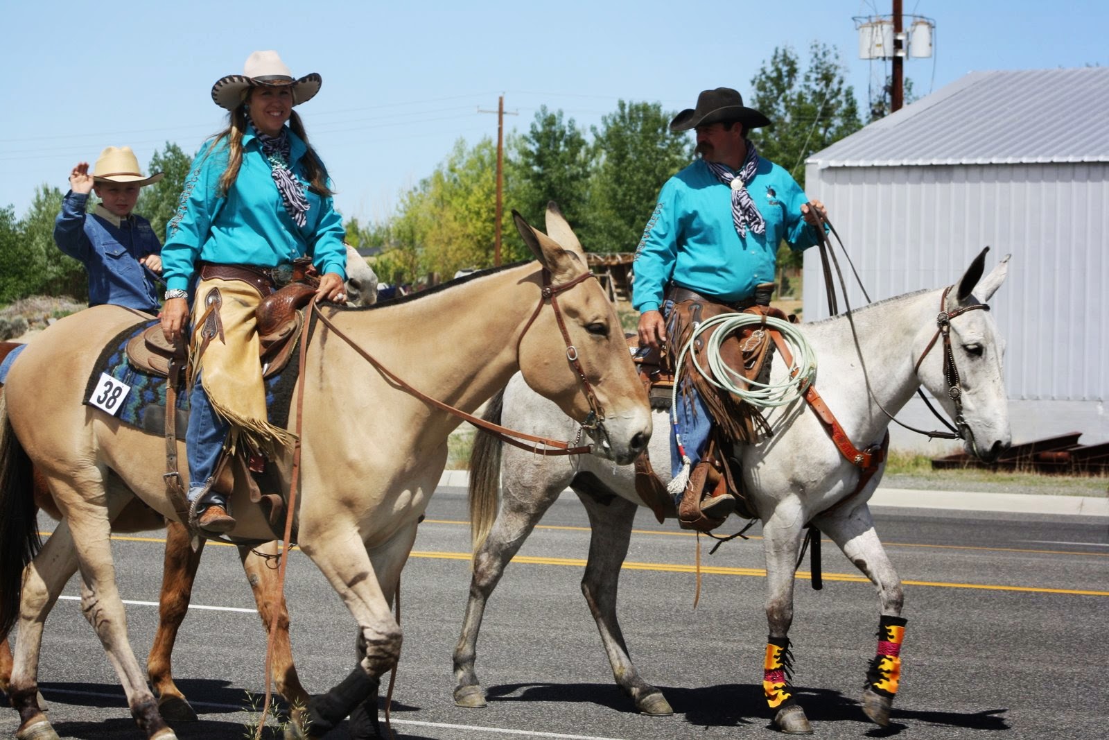 PairADice Mules Pictures from Jake Clark Mule Parade