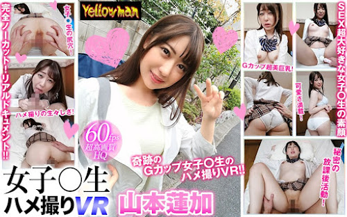 YPY-007_cover