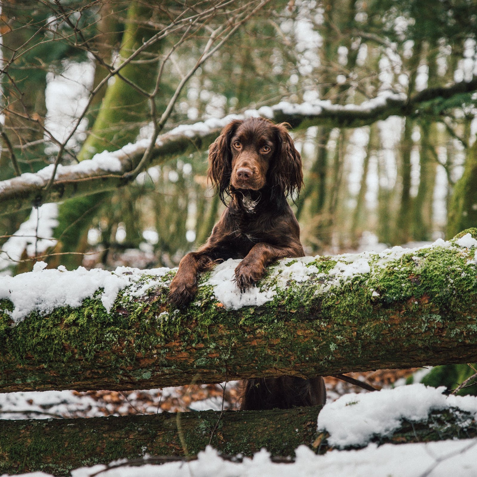 glen coe instagram spots liquid grain liquidgrain explore glen coe instagram spots liquid grain liquidgrain explore