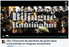 OEI. Concurso de escritura de guión para cortometraje en lenguas ancestrales