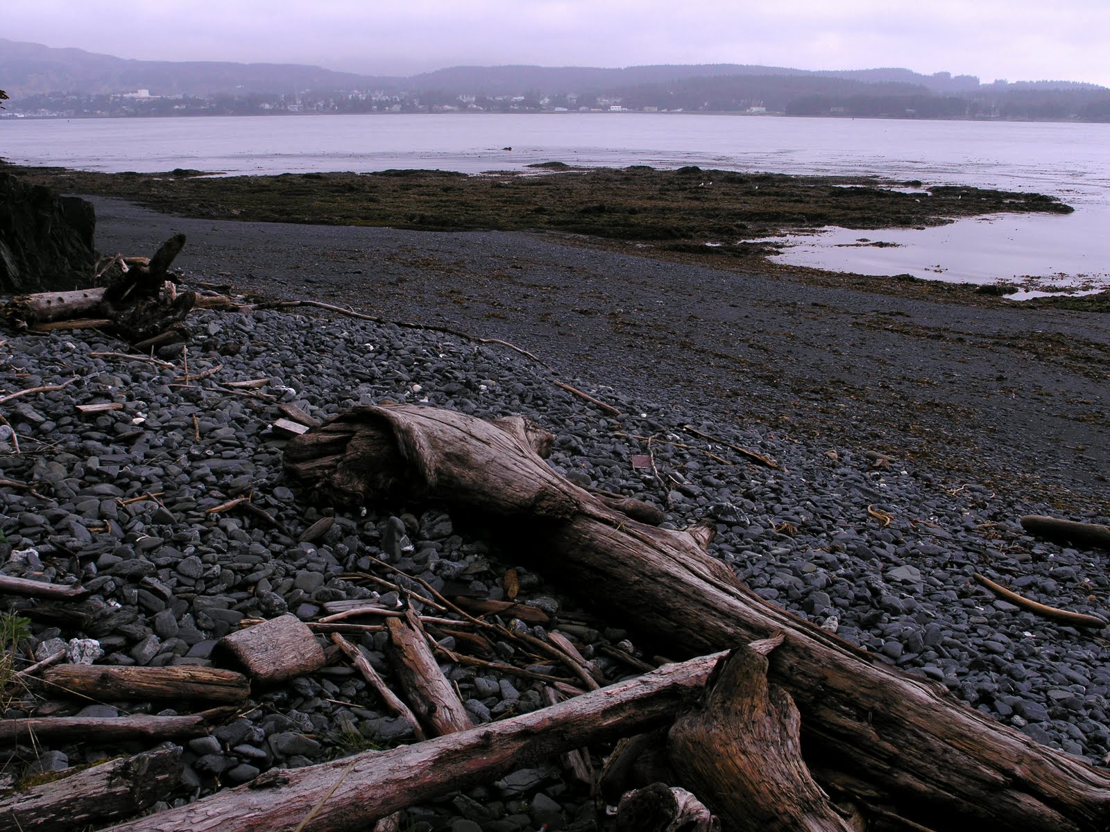 Record of Life Woody Island excursion