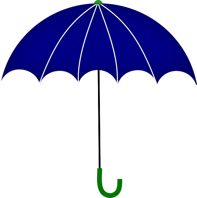 Guarda chuva vetorizado em png