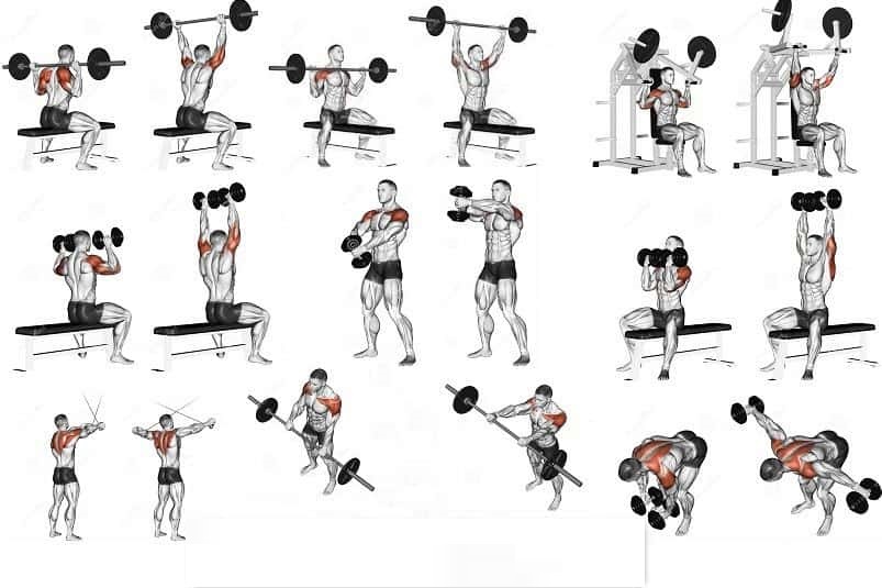 Best Your Guide To Killer Shoulder Workouts Www bodybuilding110