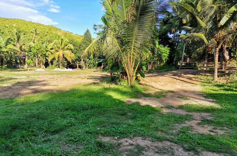 Lot for sale in Buluang, Compostela Cebu Titled Lot