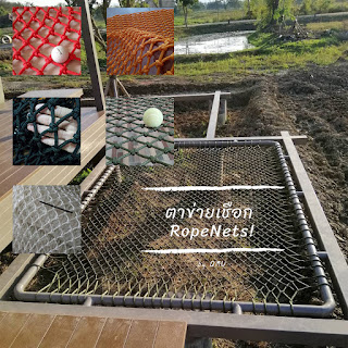 ็Hammock bed ตาข่ายนอน