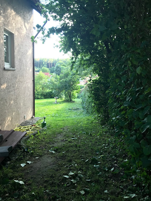 Hecke im Vorgarten (c) by Joachim Wenk Hecke im Vorgarten (c) by Joachim Wenk