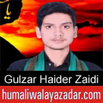 https://humaliwalaazadar.blogspot.com/2019/08/gulzar-haider-zaidi-nohay-2020.html