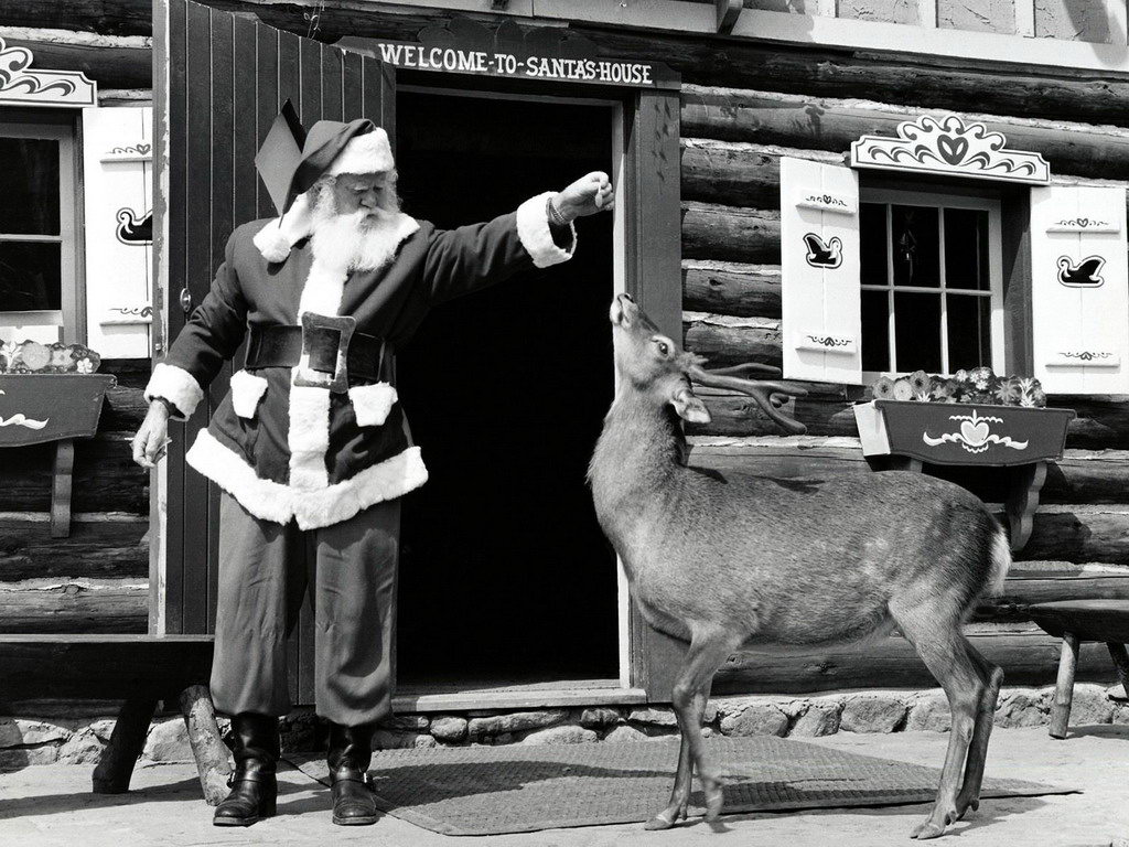 vintage-santa-deer.jpg