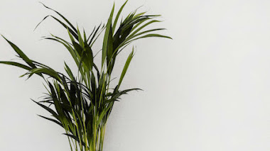 10 trucos para decorar tu hogar en invierno por menos de 100€