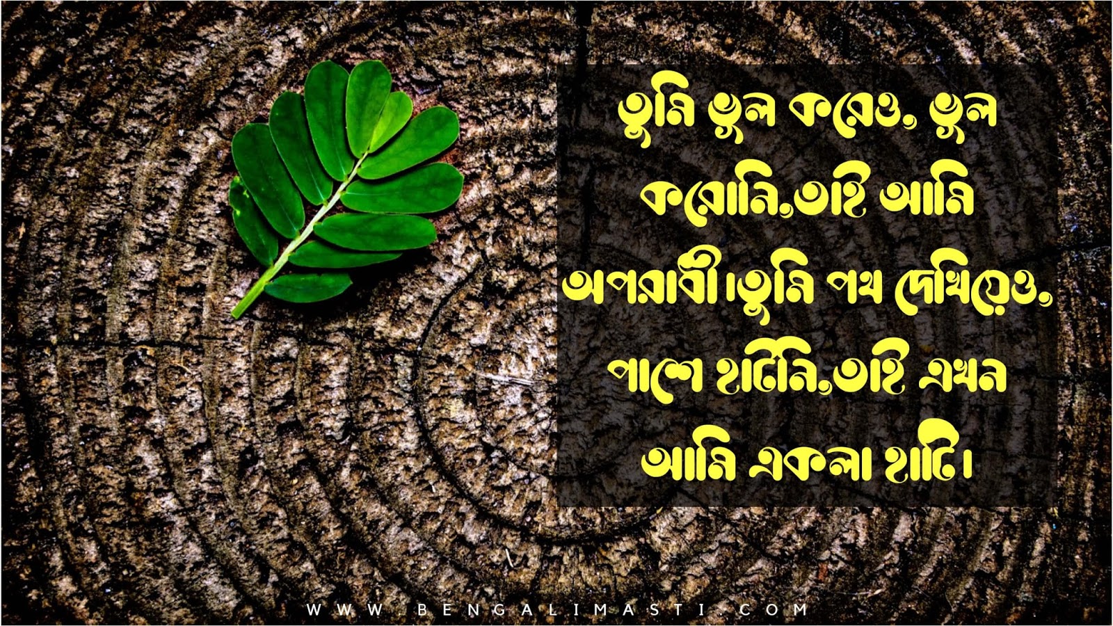 bangla sad status for whatsapp sad status in bengali