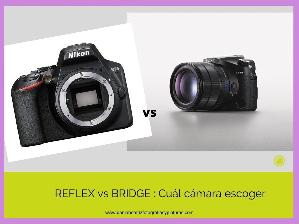 REFLEX vs BRIDGE Cuál cámara escoger actualmente Blog de Fotografía f2.8 )