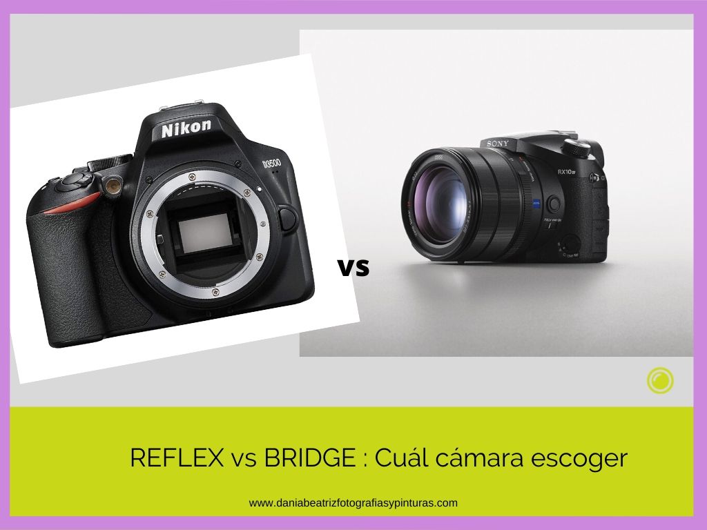 REFLEX vs BRIDGE : Cuál cámara escoger actualmente | Blog Fotografía f2.8 )