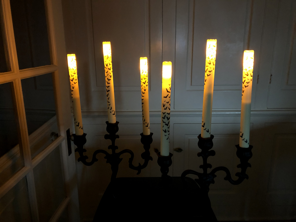Old Fashion Halloween Bat Taper Candles at World Market