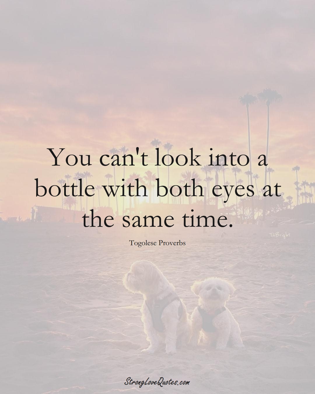 You can't look into a bottle with both eyes at the same time. (Togolese Sayings);  #AfricanSayings