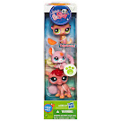 Littlest Pet Shop Tubes Chinchilla (#2116) Pet