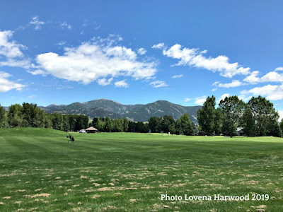 Montana, golfing, bridger range, mountains
