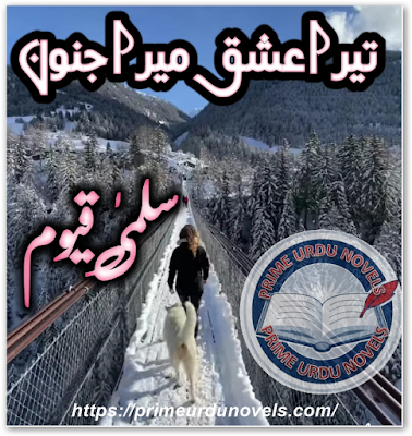 Tera ishq mera junoon novel pdf by Salma Qayyum