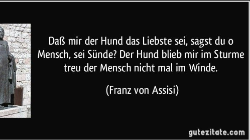 Get Zitat hunde Desktop Wallpaper