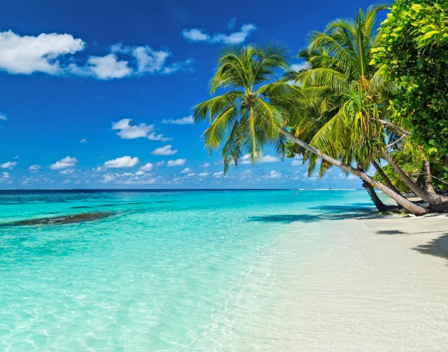 Maldive - Poracci In Viaggio maldive-poracci-in-viaggio