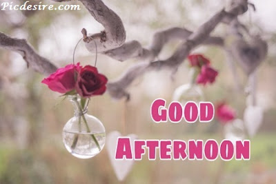 Best 50 Good Afternoon Images 2020 || Good Afternoon Images for Whatsapp Best 50 Good Afternoon Images 2020 || Good Afternoon Images for Whatsapp