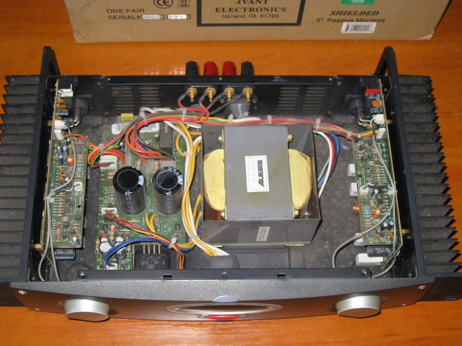Alesis Ra 100 Schematic