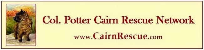 Col. Potter Cairn Rescue Network