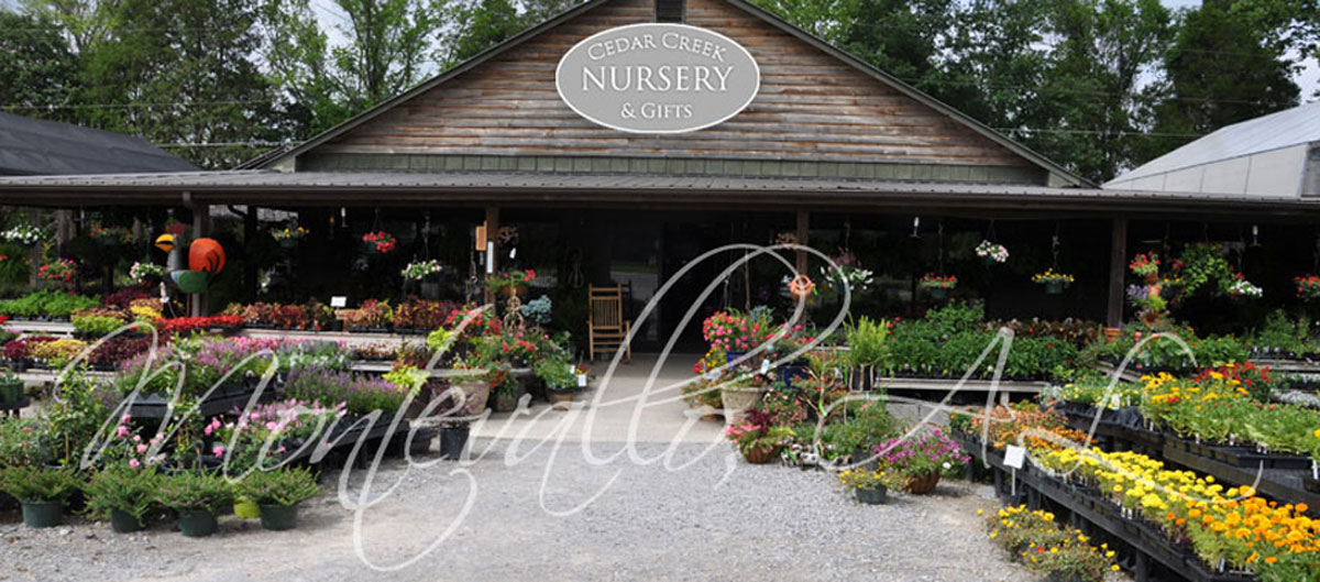 School2Working Cedar Creek Nursery Montevallo, AL
