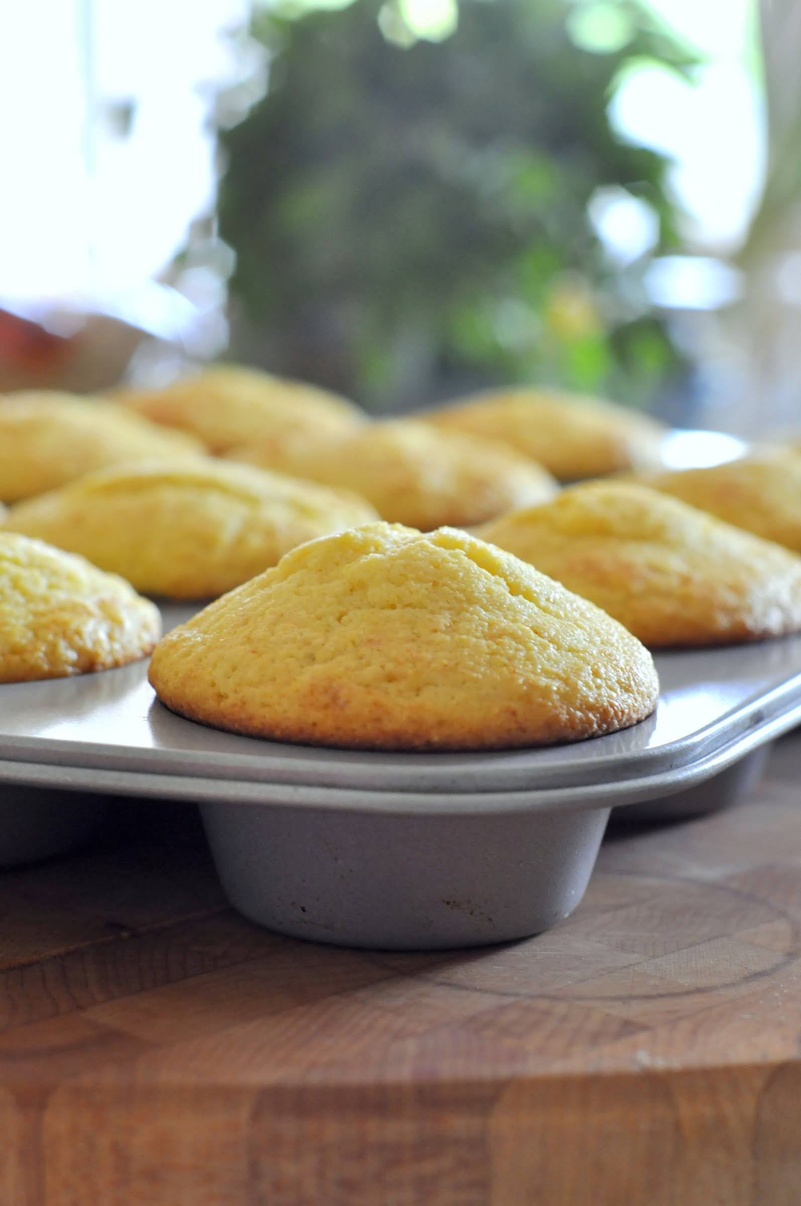 Honey Cornbread Muffins | Taste As You Go