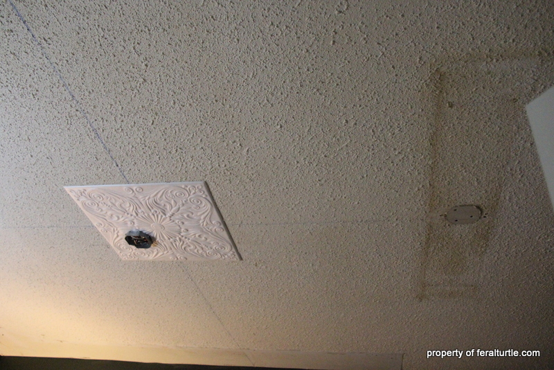 The Feral Turtle Ceiling Tiles Are In!! Canada Ceiling Tiles Gets a Big F!