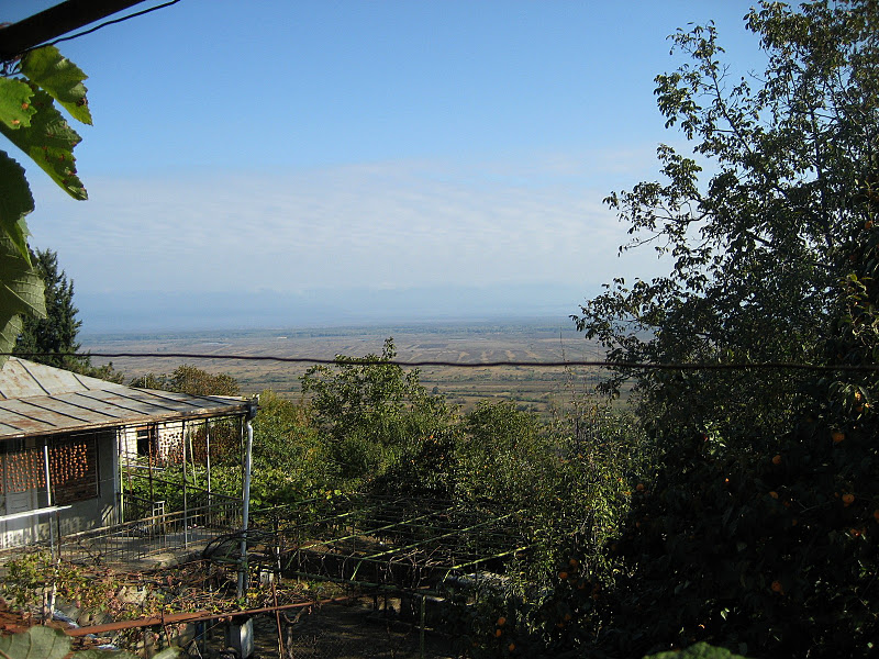 Living Rootless Kardanakhi Unity