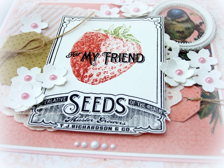 The Paper Cove Crafting Ireland Guest Post featuring Waltzingmouse Stamps