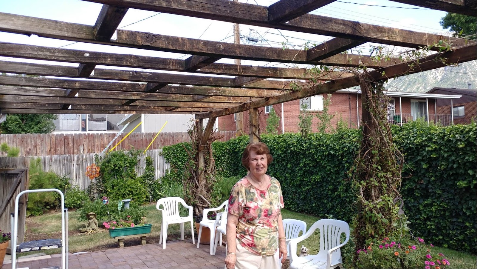 The "Secret" is Gratitude How To Train Vines In or On an Arbor with