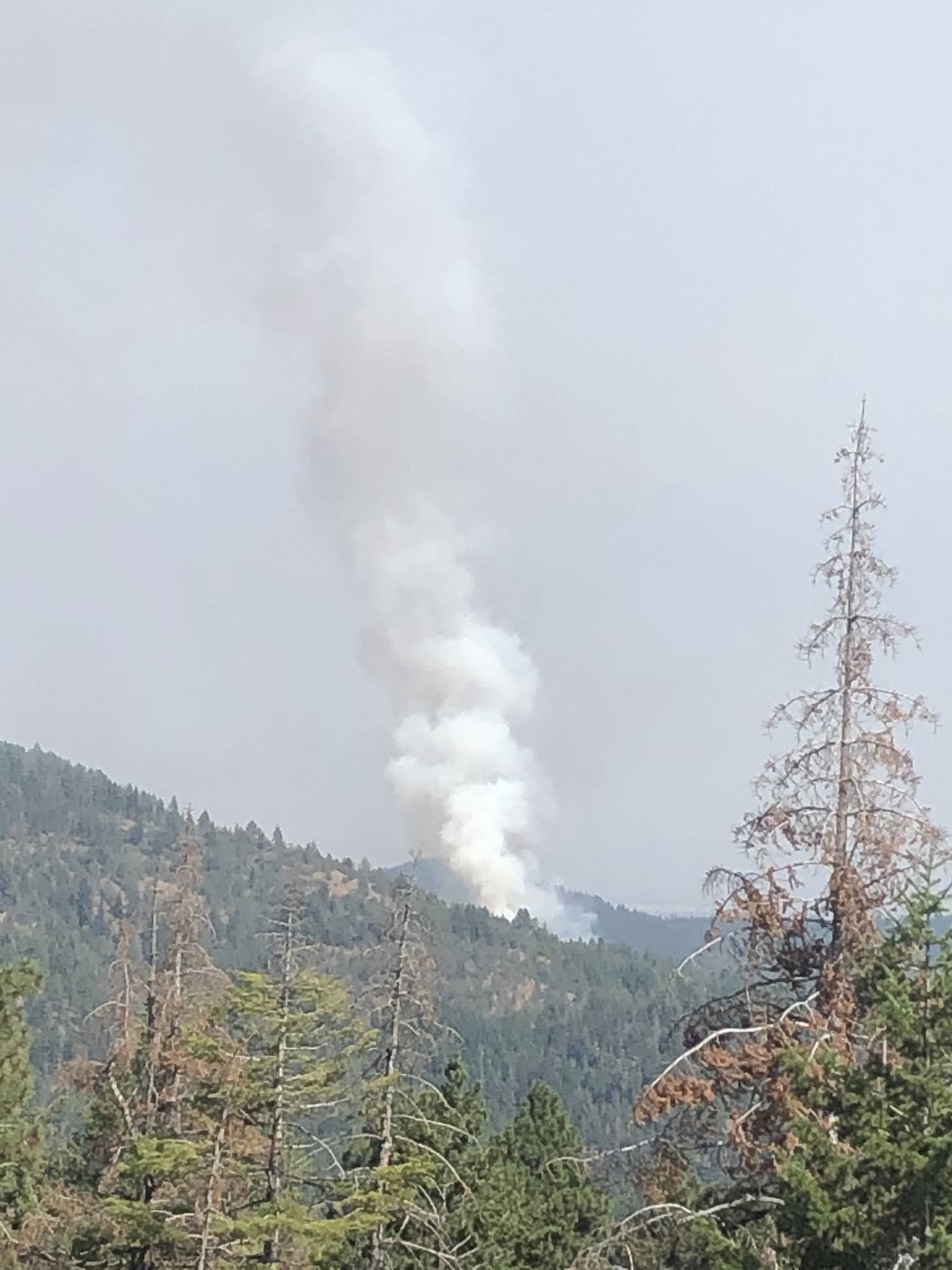 Blue Mountain Fire Information Umatilla National Forest Lightning Fire