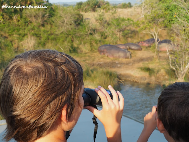 Hippo and Crocodile Tour en St Lucia