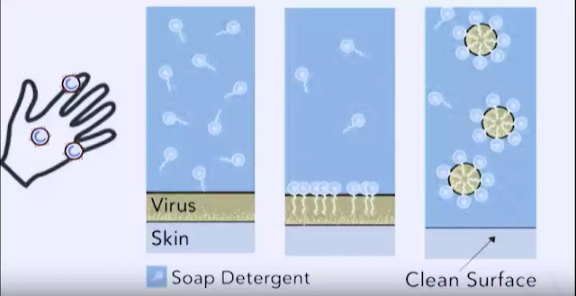 Coronavirus Update Coronavirus Update