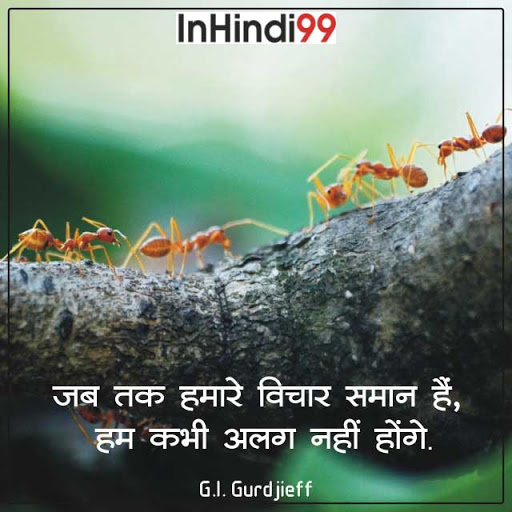 55+ Unity quotes in hindi | एकता पर सुविचार, अनमोल वचन
