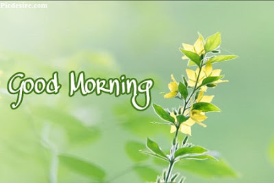 These Best 99+ Good Morning Images will make your day These Best 99+ Good Morning Images will make your day