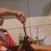 Vídeo: Mulher é flagrada torturando e obrigando gato a comer pimenta