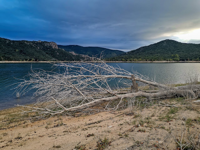 Водохранилище Дарниус Боаделья (Embalse Darnius Boadella)