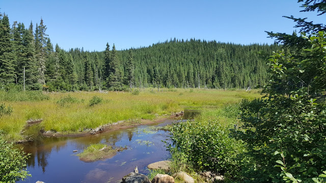 Vue à partir du sentier Le Scotora en direction du mont Andante