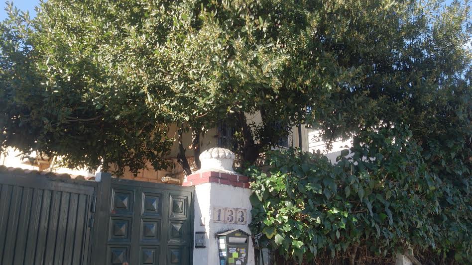 Disparatado Treintañero: ¿En qué zona de Madrid vivía la familia Serrano?