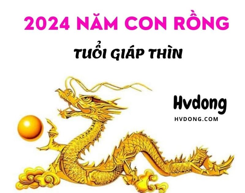 Năm 2024 là năm con gì? 2024 mệnh gì ? Hợp màu nào nhất?