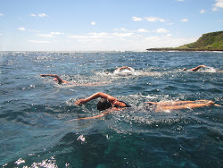 ocean swim swimming swims swimmers pic greek exclusive howe lord impact gliding through saronic