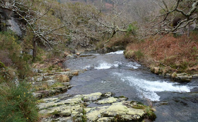 Río Porcía - Castropol - Asturias Río Porcía - Castropol - Asturias