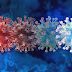 Descoberta nova variante do coronavírus com grande número de mutações