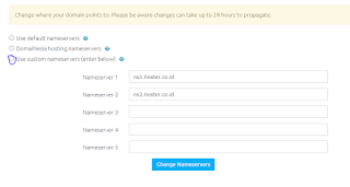 custom nameserver domain