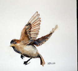 sparrow flying watercolor drawing tattoo bird paintings birds painting watercolour sparrows female martin ruble gesture getdrawings